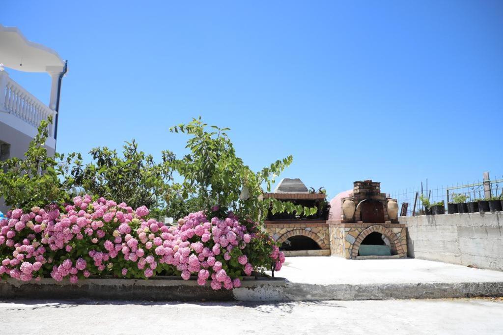 Guest House Narta Vlorë Exteriér fotografie