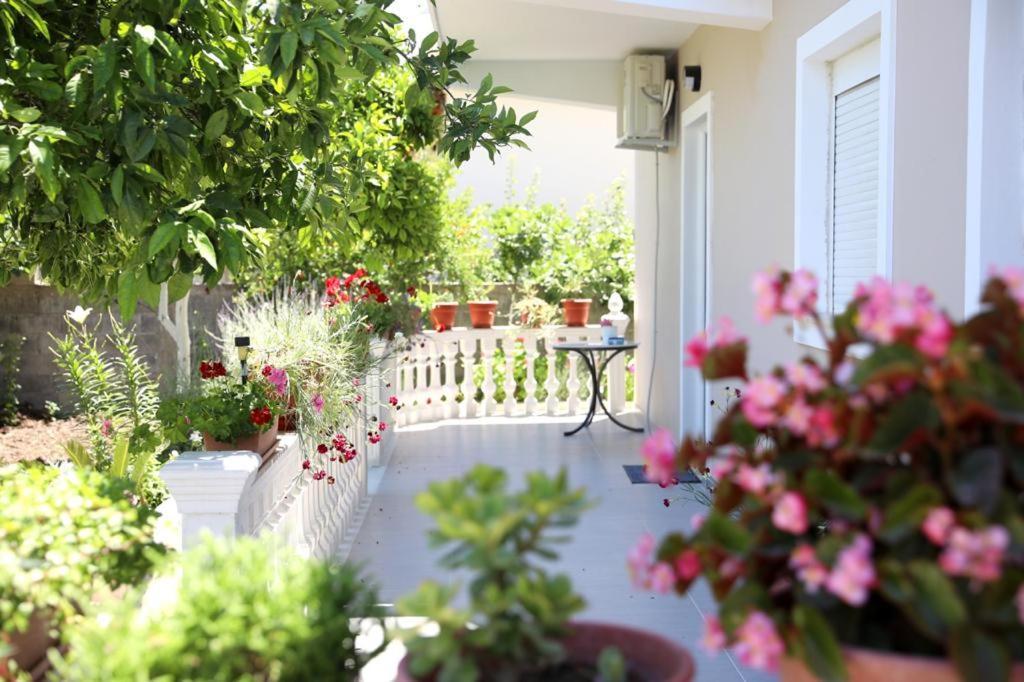 Guest House Narta Vlorë Exteriér fotografie